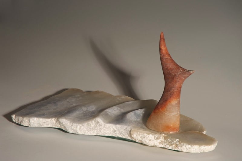 Fish by Simon Burns-Cox